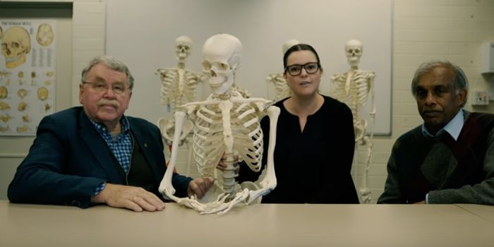 The Human Arm Appears to be Evolving Slightly