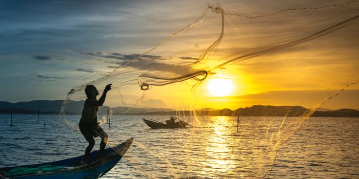 Nutrients for Reducing Autoimmune Disease Risk