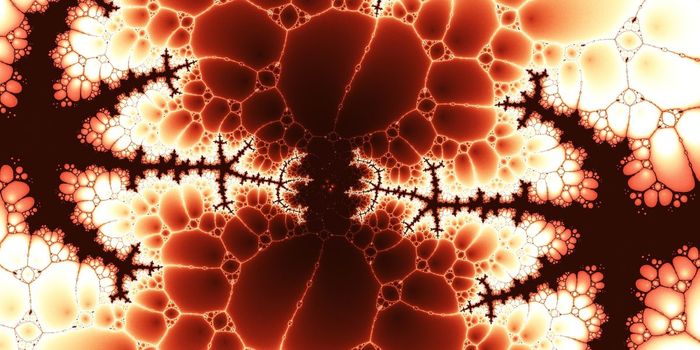 Researchers Discover Molecular Mechanism for Memory Formation