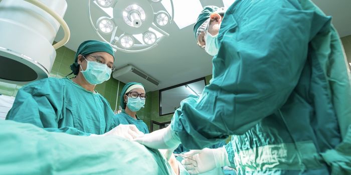 How Pig Blood & Cobra Venom Could Help Fill the Lung Transplant Need