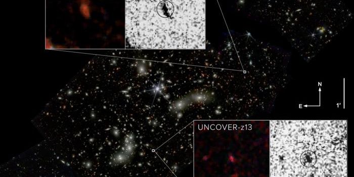 Peanut and Fluffy Ball Galaxies: JWST Reveals Distant Marvels in Pandora's Cluster