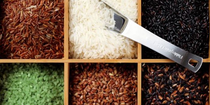 Rising CO2 levels will reduce essential vitamins in crops