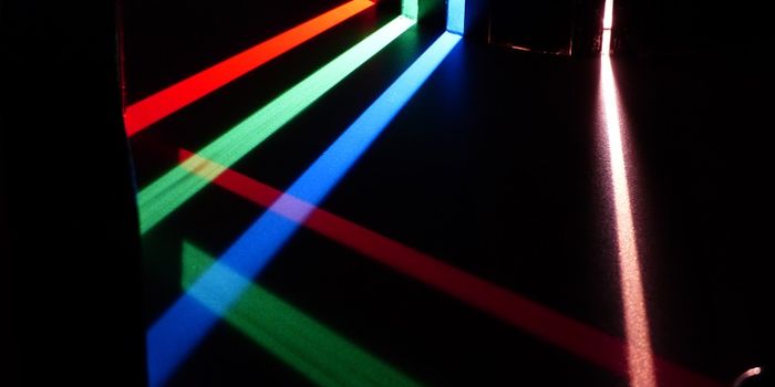 What is "robotic soft matter"?