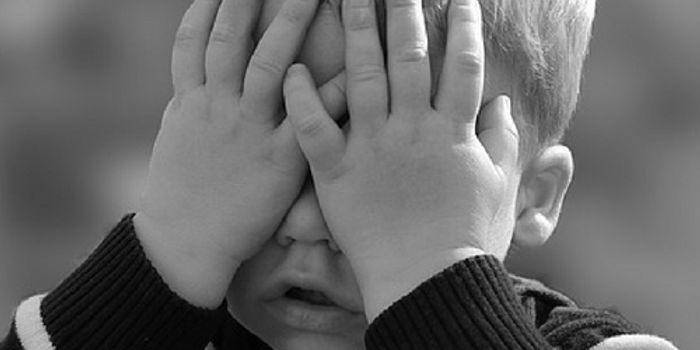 Can a Smartphone Diagnose Autism?