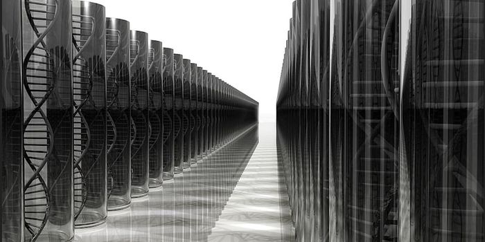 New Therapeutic Targets For Lupus Are Identified