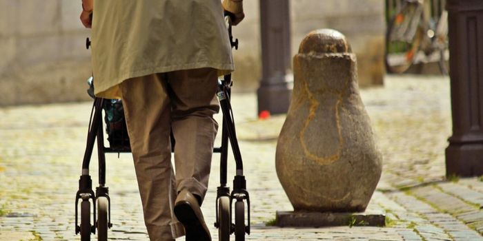 A Parasite Carried by Cats is Linked to Adult Frailty