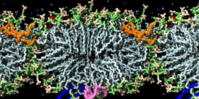 Antibiotic-Making Kit for Amateurs?