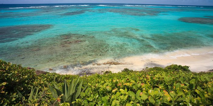 Who wants a quick Caribbean getaway?