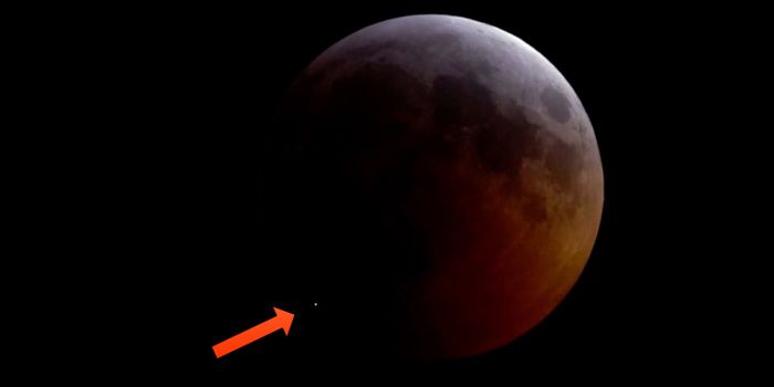 A Meteorite Slammed Into the Moon During the Recent Lunar Eclipse