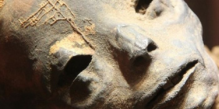 New Technology Meets Old Medicine