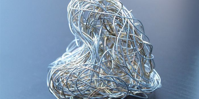 How Zinc Can Boost the Function of the Immune System