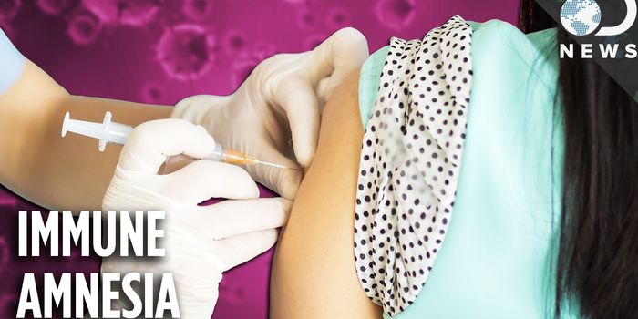 The Measles Vaccine Pays Extra Dividends, Say Scientists