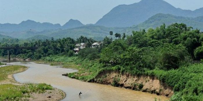 163 New Species Discovered in the Greater Mekong Region