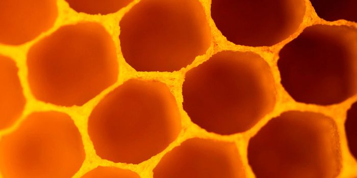‘Honeycomb' for gene transfer kills fewer cells