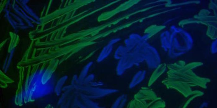 Antibiotics can Stimulate Bacteria Growth