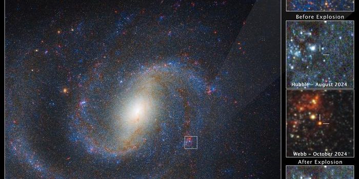 JWST Spots Doomed Star Before Explosion