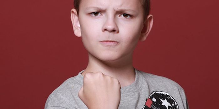 Childhood Aggression has a Genetic Basis & Environmental Component