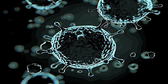 Antidepressants and Serotonin Impact Gut Microbiota