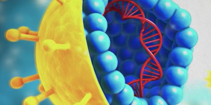 How Did Viruses Originate?