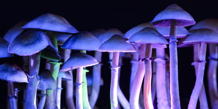 A magic cure for alcohol use disorder: FDA approves synthetic psilocybin as an investigational new drug for alcohol use disorder.
