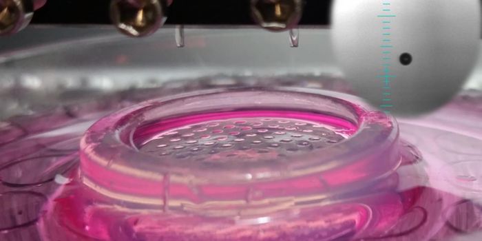 Bioengineers Describe Potential Applications of 3D Printing