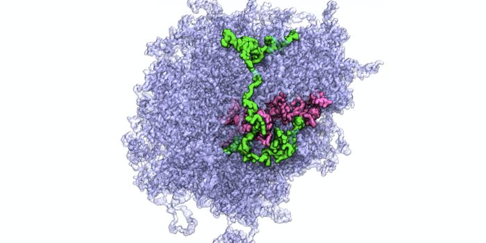Learning More About How Cells Use Phase Separation