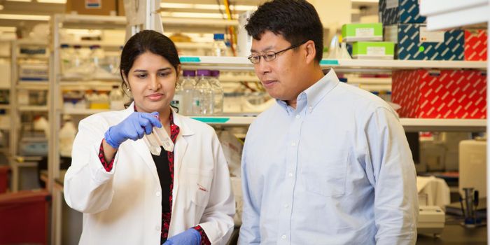 Promising Drug Target in Pancreatic Cancer Cells