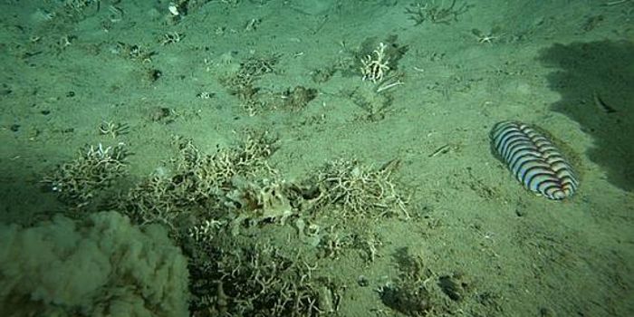 What we don't know about climate change and the seafloor