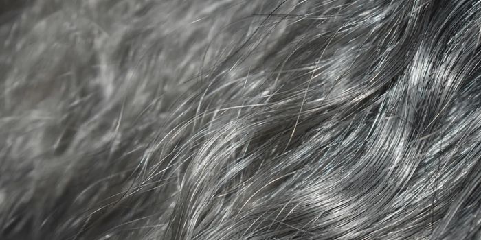 Stress Seems to Turn Hair Gray, But It May Be Reversible