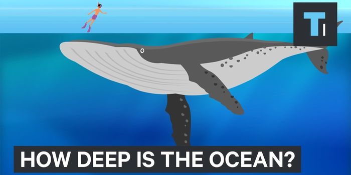 How Deep Our Oceans Really Are