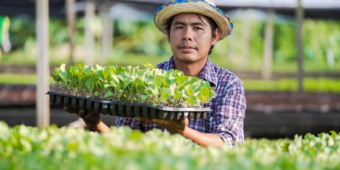 Food Supply Chain Workers Face Serious Safety Risks