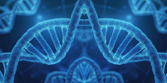 Scientists Sound a Warning About Mirror Life