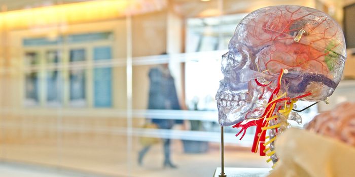 CBD Inhibits Brain Changes that Initiate  Alzheimer's: Animal Study