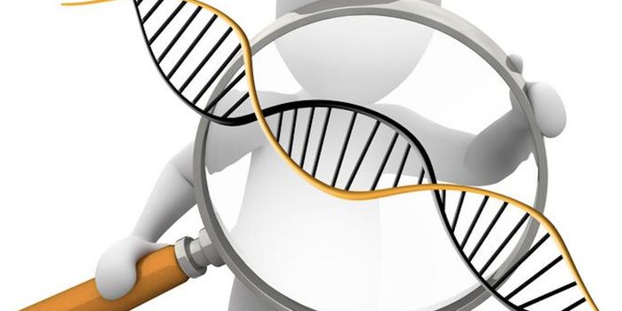 Insight Into a Disease-Related Protein in the Brain