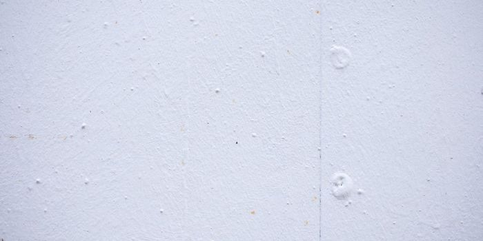 Social Isolation is an Independent Risk Factor for Dementia