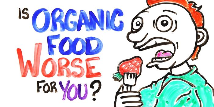 Are Organic Foods Actually Healthier for You?