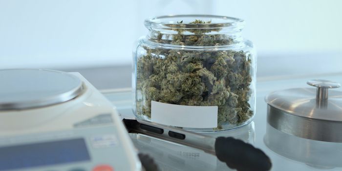 UN Reclassifies Cannabis as Less Dangerous