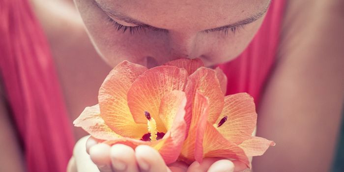 Gene for Smelling Helps Cancer Cells Move to the Brain