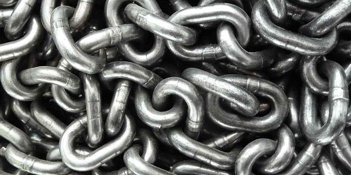 Antibodies chain bacteria together