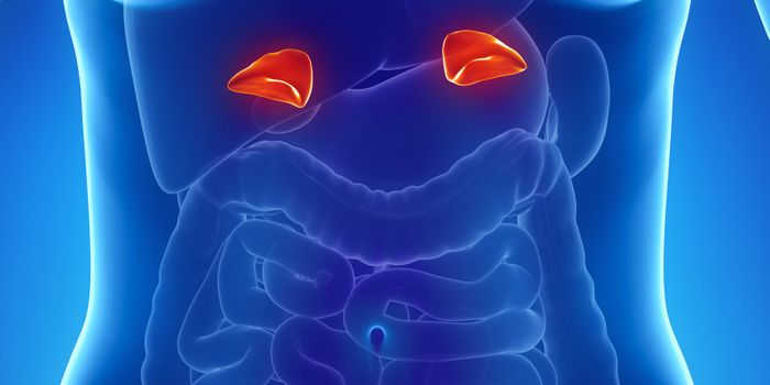 Introducing "Armadillo Syndrome"