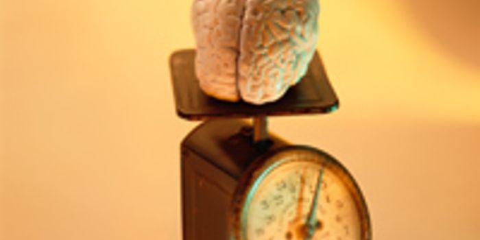 Brain size and Intelligence