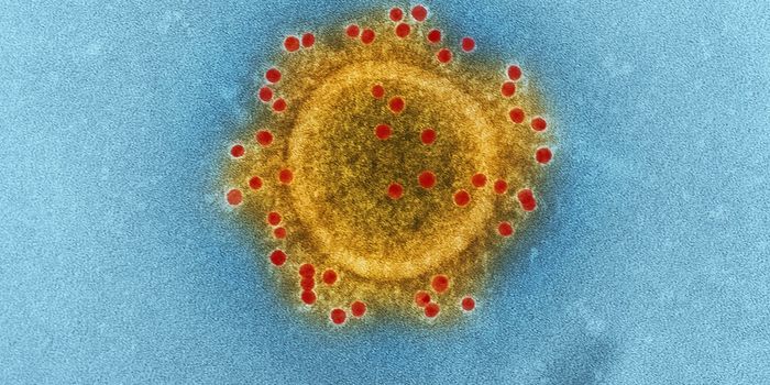 Human T Cells Can't Recognize COVID Mutants