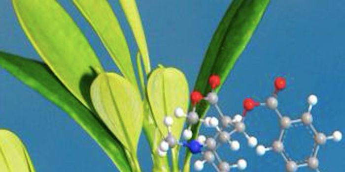 Learning More About Addiction Relapse