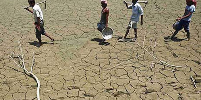 Suicide rate is up for Indian farmers, and it's because of climate change