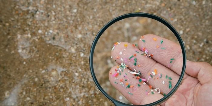 Plastic Debris on the Ocean Floor Has Tripled in 20 Years