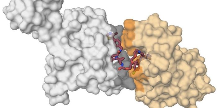 Finding a Way to Target the 'Undruggable'