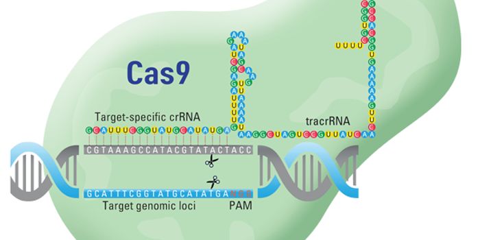 Gene Editing To Solve a Common Cause of Blindness