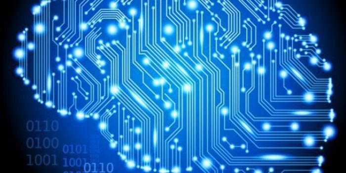 Behavior Predicting Neural Code Identified