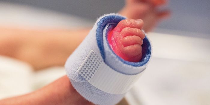 How the Vaginal Microbiome is Connected to Preterm Delivery