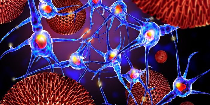 Age-associated B Cells Trigger Several Autoimmune Disorders